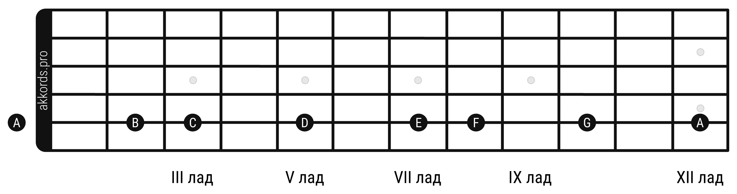 Учим ноты на гитаре • Расположение нот на грифе шестиструнной гитары • Как  выучить ноты на гитарном грифе